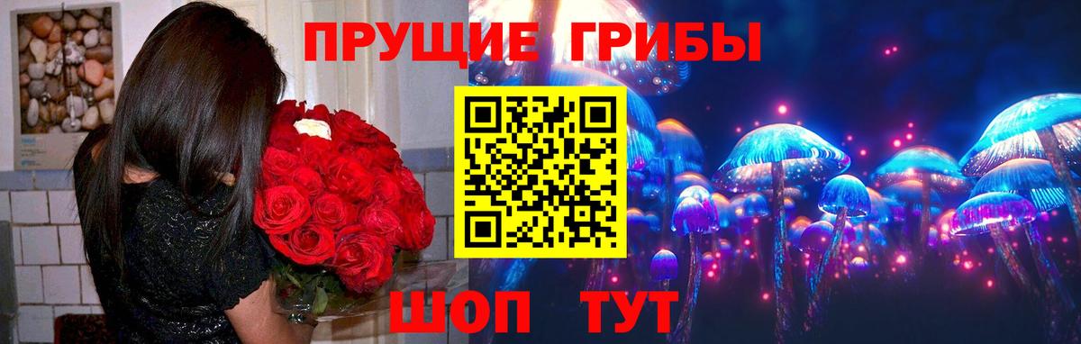 Галлюциногенные грибы Magic Shrooms  купить   Карачаевск  Вход с VPN 